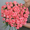 КУСТОВЫЕ РОЗЫ