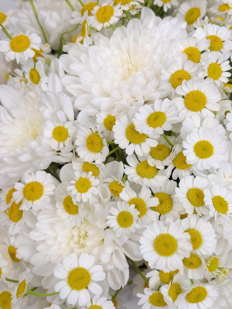 КОМПОЗИЦИЯ С РОМАШКОЙ