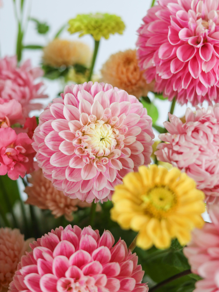 БОЛЬШАЯ ЛЕТНЯЯ КОРЗИНА С ГЕОРГИНАМИ И ДРУГИМИ ФЕРМЕРСКИМИ ЦВЕТАМИ