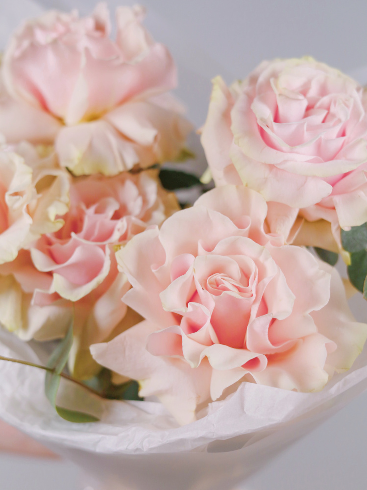 Букет из нежно-розовых французских роз и эвкалипта