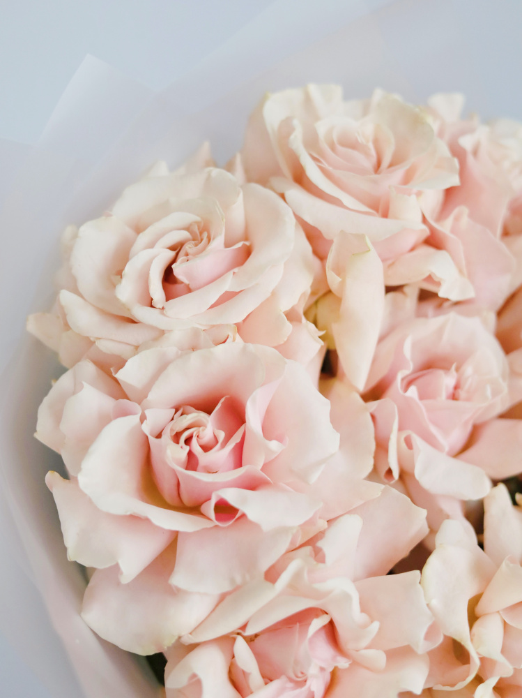 БУКЕТ 9 ФРАНЦУЗСКИХ РОЗА PINK MONDIAL