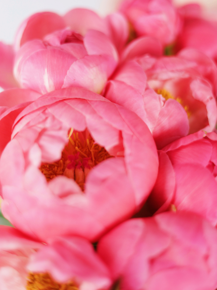 БУКЕТ ИЗ 19 ПИОНОВ