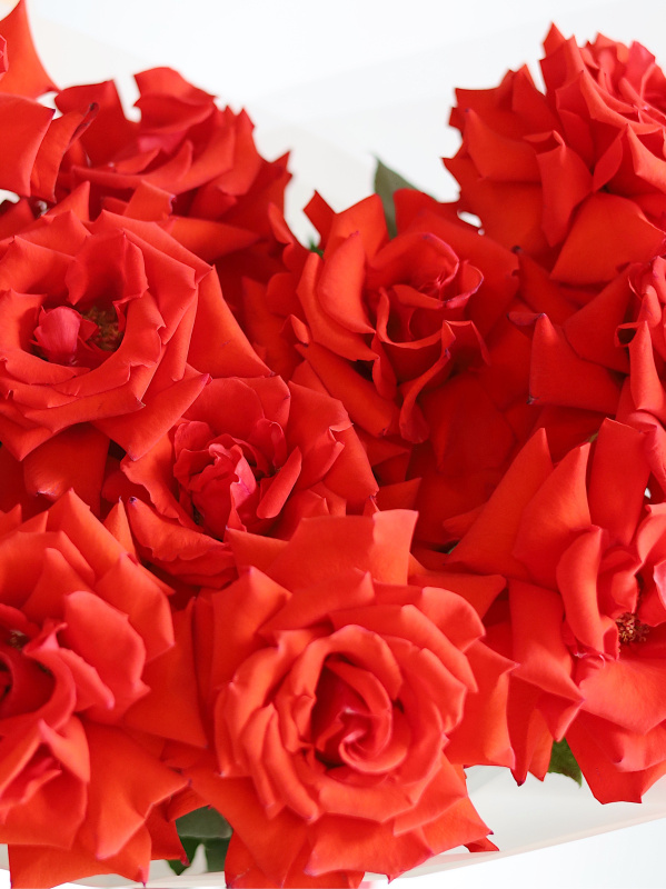 БУКЕТ КРАСНЫХ ФРАНЦУЗСКИХ РОЗ