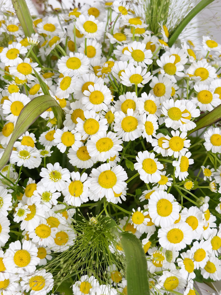 КОРЗИНА С РОМАШКОЙ И ЗЛАКАМИ