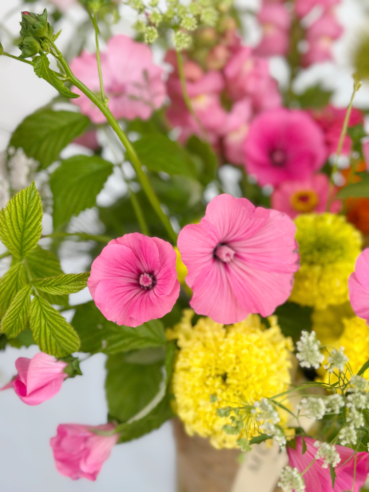 КОСМЕЯ, ЛАВАТЕРА, ЛЬВИНЫЙ ЗЕВ В ПЛЕТЕНОЙ КОРЗИНЕ