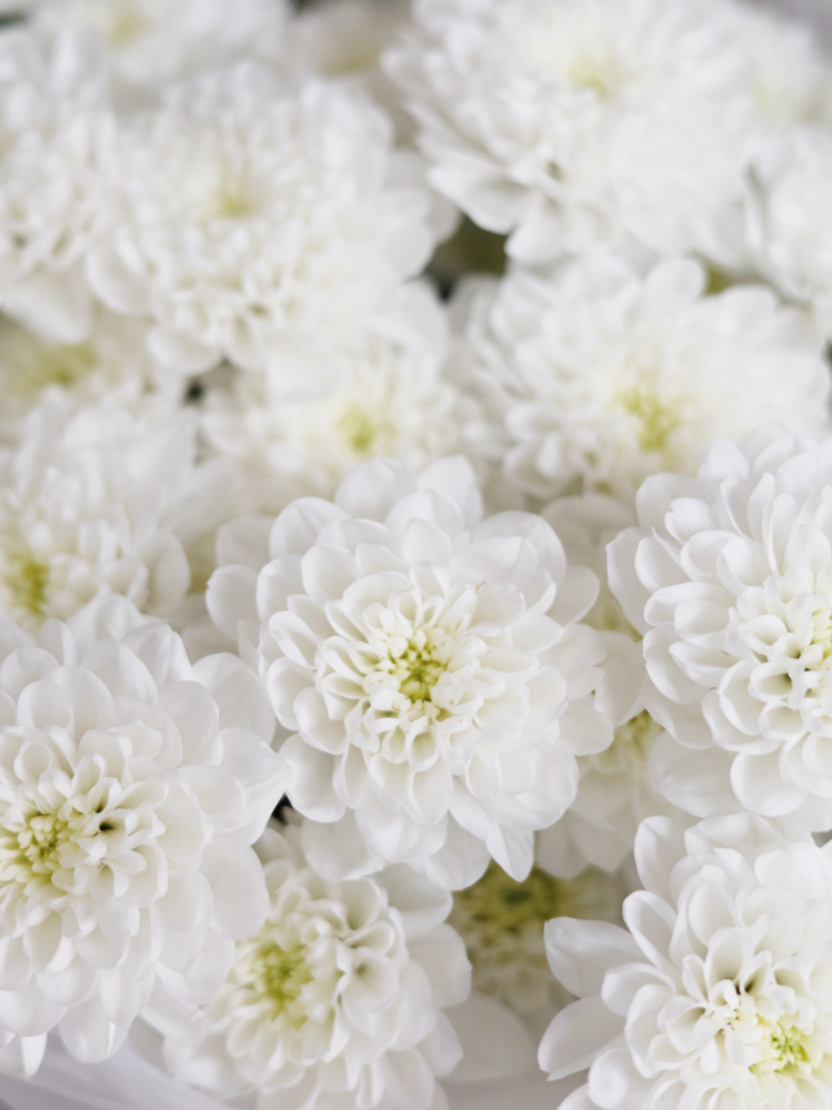 БУКЕТ С БЕЛОЙ ХРИЗАНТЕМОЙ
