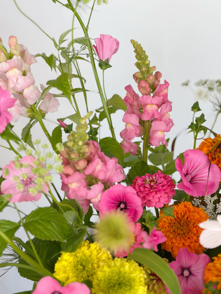 КОСМЕЯ, ЛАВАТЕРА, ЛЬВИНЫЙ ЗЕВ В ПЛЕТЕНОЙ КОРЗИНЕ